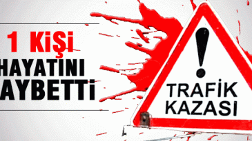Derik’teTrafik Kazası: 1 Ölü