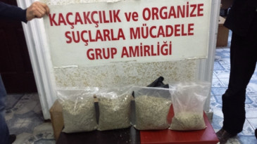 Suriyeli şahıs bonzai ile yakalandı