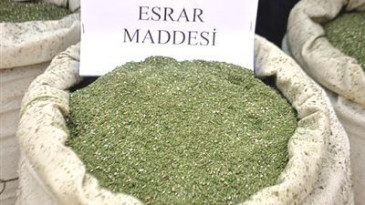 Eşzamanlı Uyuşturucu operasyonu