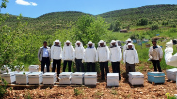Savur’da “arıcılık projesi”