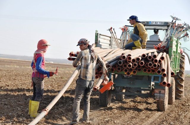 40 derecede oruç tutup tarlada çalışıyorlar