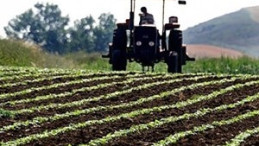 Çiftçilere işletme desteği