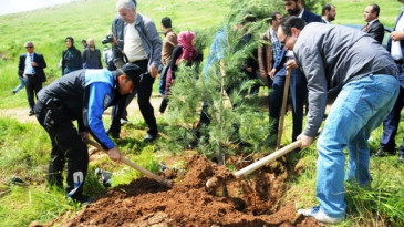Şehitlerin isimleri dikilen fidanlar ile yaşatılacak