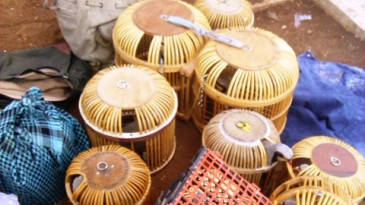 Kaçak Keklik satışına geçit yok