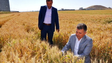 MTDF’den hükümete çağrı