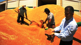 ”Ortadoğunun En Büyük Hububat Pazarını Kurduk”