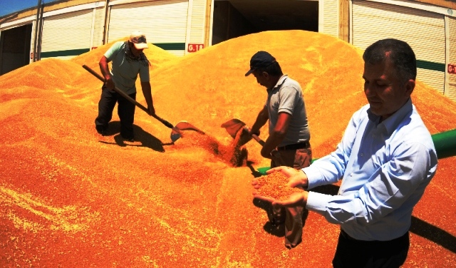 ”Ortadoğunun En Büyük Hububat Pazarını Kurduk”