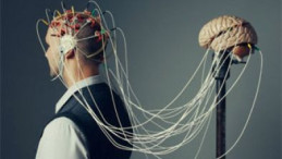 Darbe, Karşı Darbe, Beklenen Darbe – 6