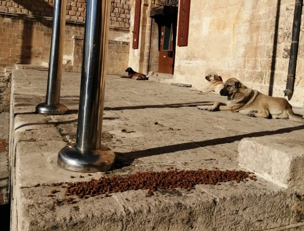 Mardin Büyükşehir Belediyesi, yeni tip koronavirüs (Kovid-19) tedbirleri kapsamında uygulanan