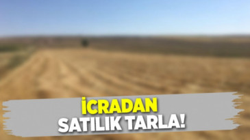 Midyat’ta tarla icradan satılacak