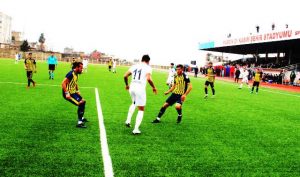 3. lig 2. gurupta mücadele eden Mardin Fosfatspor, 2. devrenin