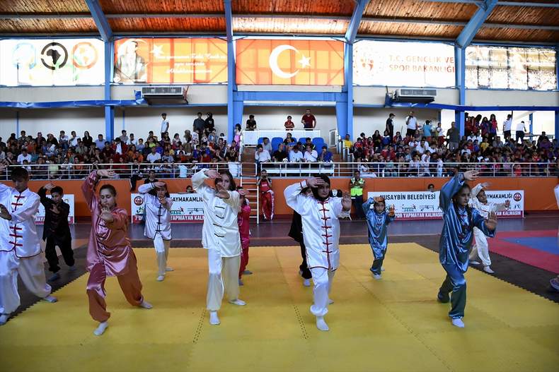 Mardin’de Wushu Şampiyonası başladı