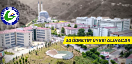 Giresun Üniversitesi Rektörlüğü, 2547 sayılı Yükseköğretim Kanunu, 657 sayılı Devlet