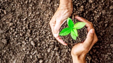 Fidan sulama hizmeti alınacak