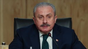 Türkiye Büyük Millet Meclisi (TBMM) Başkanı Mustafa Şentop, sosyal medya