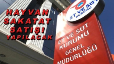 Küçükbaş hayvan sakatatı satışı yapılacak