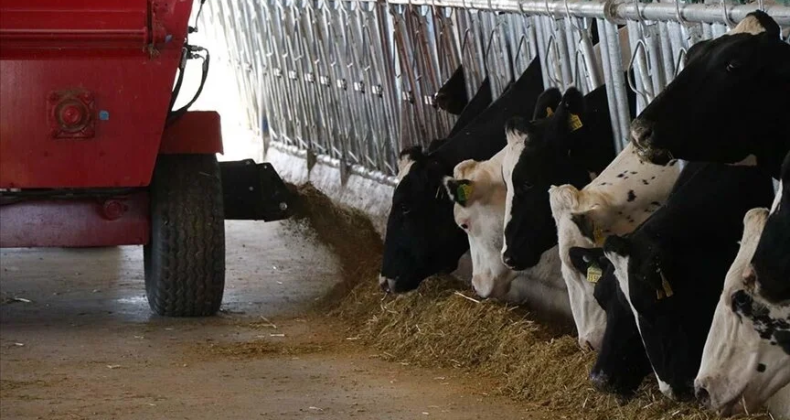 Tarım ve Orman Bakanı Kirişci’den düve alım desteği açıklaması