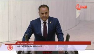 28. Dönem milletvekili genel seçimlerinde Mardin Milletvekili olarak seçilen Dr.