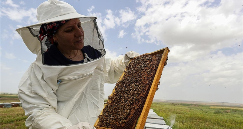 Diyarbakırlı kadın yaylaları gezerek 20 yıldır bal üretiyor