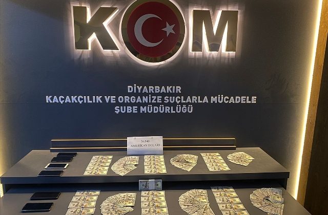 Diyarbakır merkezli 3 ilde FETÖ operasyonunda 6 şüpheli yakalandı