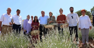 MİDYAT İlçesine Bağlı Eğlence köyünde 15 dönüm alan üzerine ekilen
