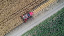 Devlet destekli tarım sigortalarında toplam sigorta bedeli 2022’de yıllık yüzde 138,1 arttı