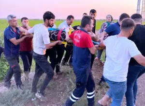 Nusaybin ilçesinde devrilen otomobildeki 5 kişi yaralandı. Sabri A. yönetimindeki