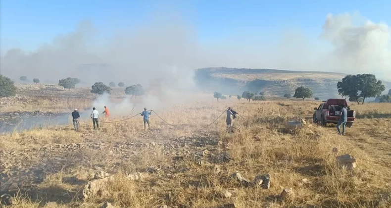 Orman ve örtü yangını kontrol altına alındı