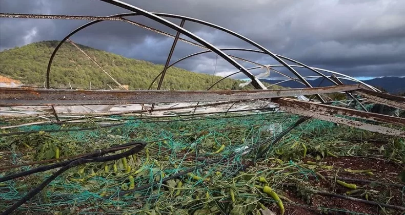 TARSİM çiftçilere kalkan oluyor