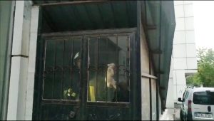 Midyat ilçesinde, metruk bir binanın duvarı arasına sıkışan yavru kedi,