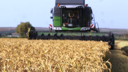 İklim değişikliği tarımda hasat tarihini erkene çekebilir