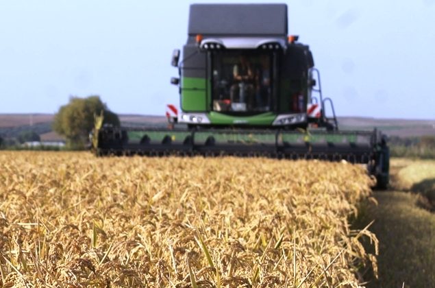İklim değişikliği tarımda hasat tarihini erkene çekebilir