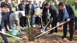 Kızıltepe’de “11 Kasım Milli Ağaçlandırma Günü” etkinliği