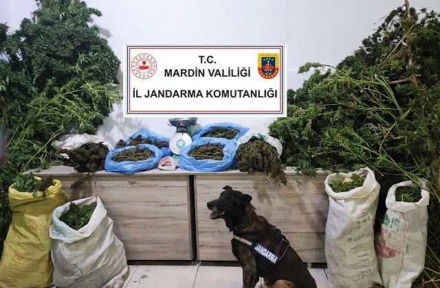 Manav görünümlü zehir taciri tutuklandı