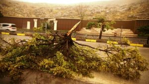 Mardin’de etkili olan yağmur, fırtına ve toz taşınımı yaşamı olumsuz