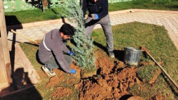 Artuklu’da Fidan Dikim Seferberliği