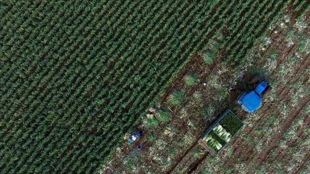 TÜİK genel tarım sayımına başladı