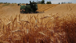TARSİM’den çiftçilere geçen yıl 17,2 milyar lira prim desteği ve hasar tazminatı ödendi