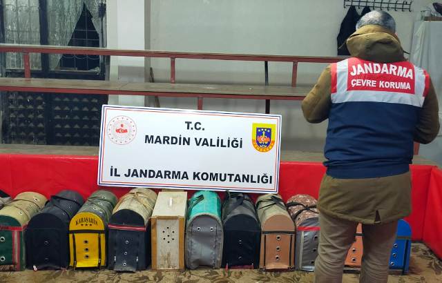 Midyat’ta  horoz dövüşü yaptırılan binaya baskın düzenleyen jandarma ekipleri 3