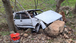 Devrilen otomobildeki 2 kişi yaralandı