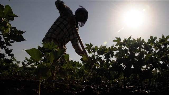 Tarım işçilerinin günlük ücreti 2023’te arttı