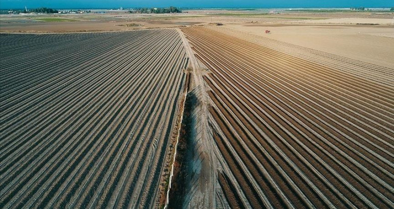 Devlet destekli tarım sigortalarında toplam sigorta bedeli 2023’te yıllık yüzde 115,5 arttı