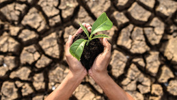 İklim değişikliği kuraklığı, kuraklık iklim değişikliğini tetikliyor