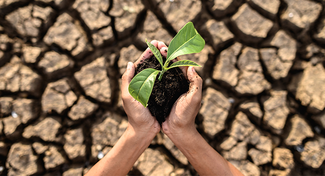 İklim değişikliği kuraklığı, kuraklık iklim değişikliğini tetikliyor