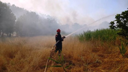 Çıkan örtü yangınları söndürüldü
