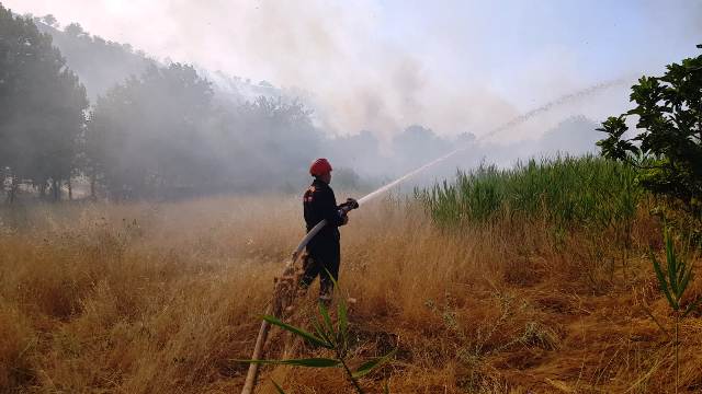 Çıkan örtü yangınları söndürüldü