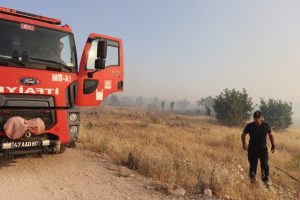 Midyat ilçesinde 3 ayrı noktada çıkan orman yangını kontrol altına