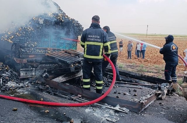 Seyir halindeki armut yüklü tır yandı