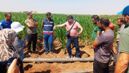 Kızıltepe’de Tasarruflu Sulama Yöntemleri Eğitimi