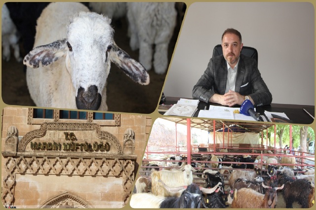 Mardin İl Müftü Yardımcısı Ali Üney, yaklaşan Kurban Bayramı dolayısıyla